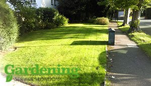 professional lawn care London