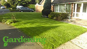 lawn mowing and maintenance in London