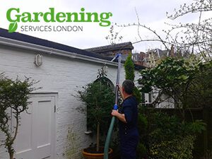 London gutter cleaning